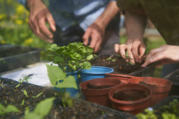 View of volunteers' hands working with pots